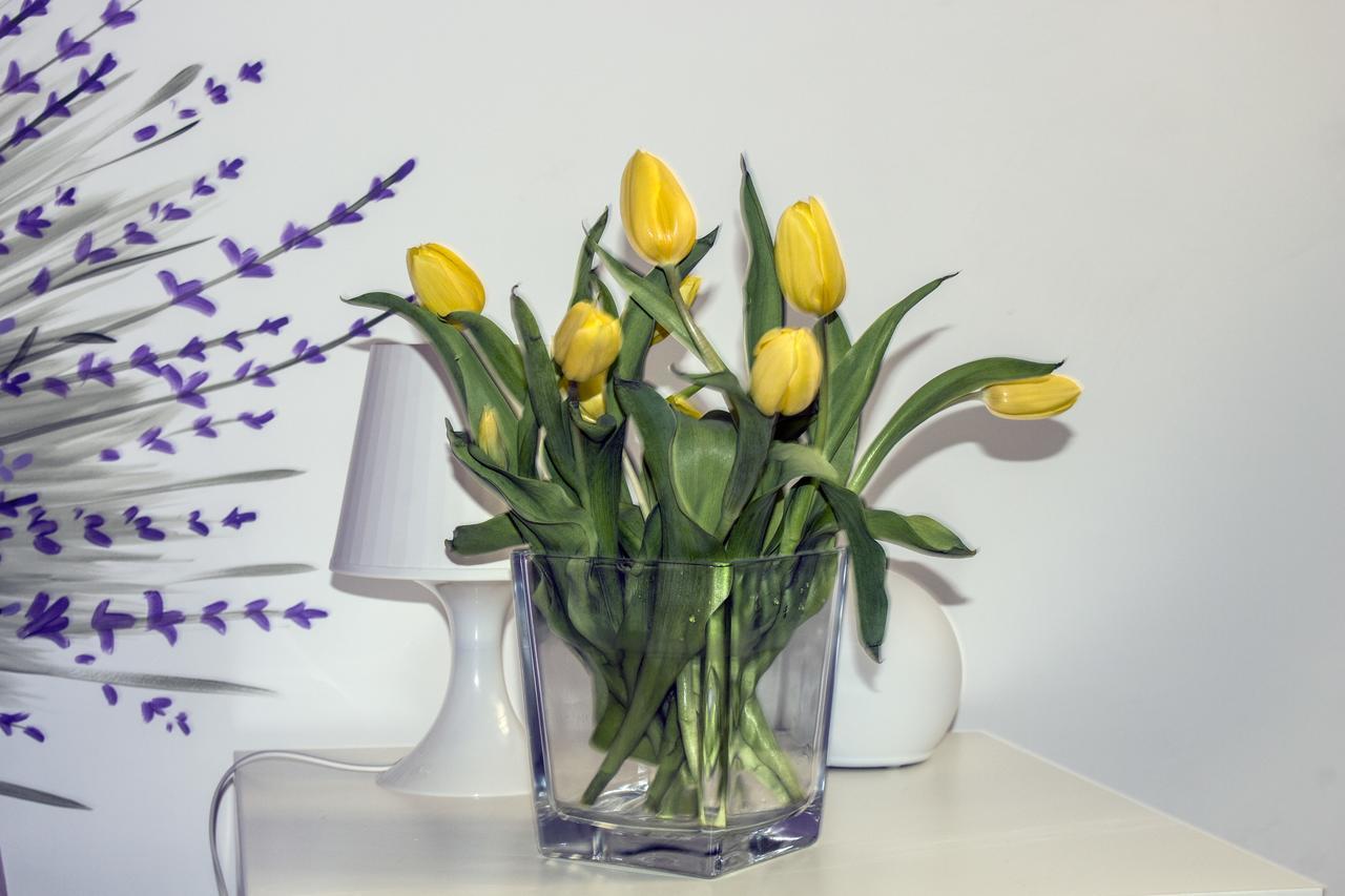 Orvieto Aroma Rooms 2 외부 사진