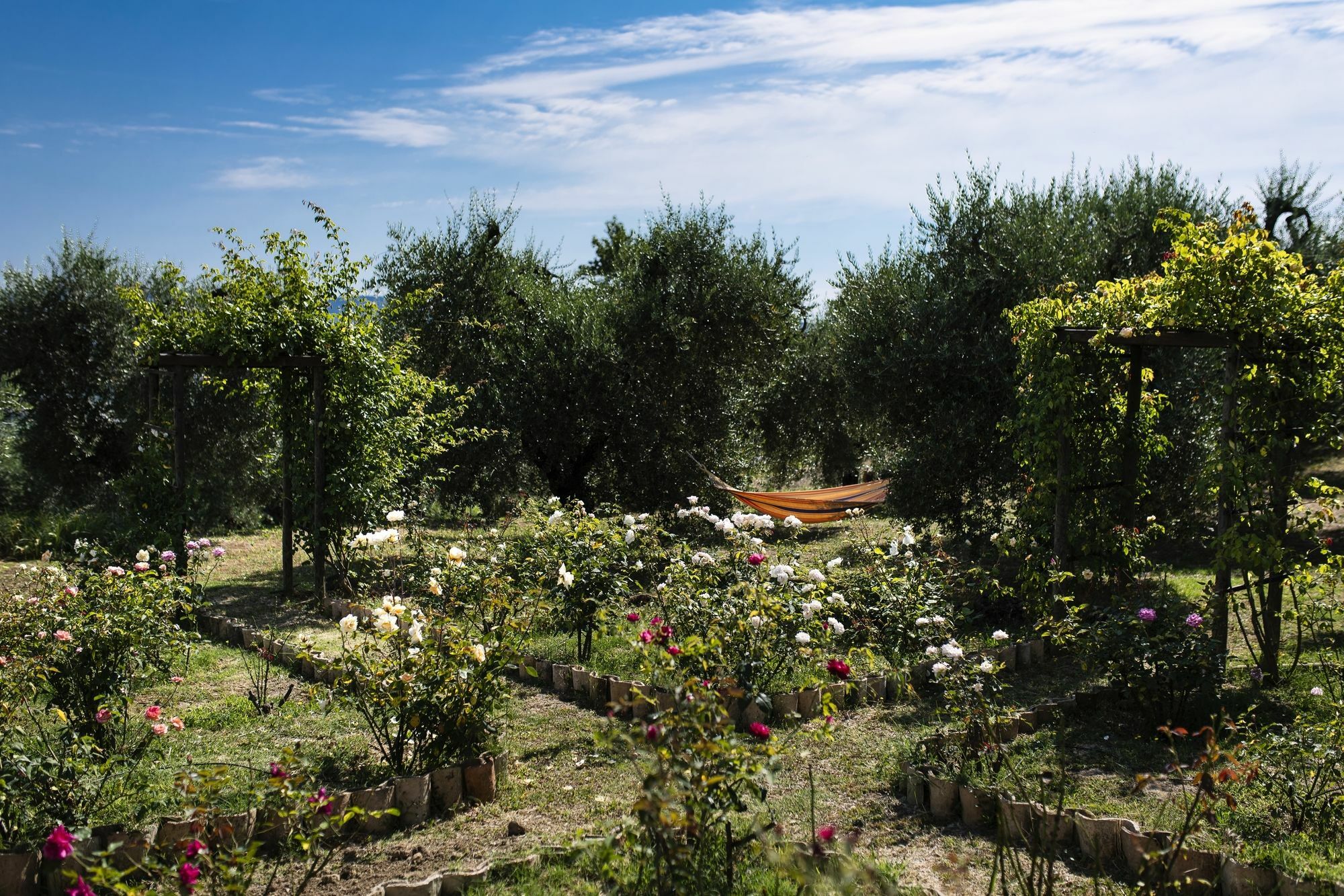 Orvieto Aroma Rooms 2 외부 사진